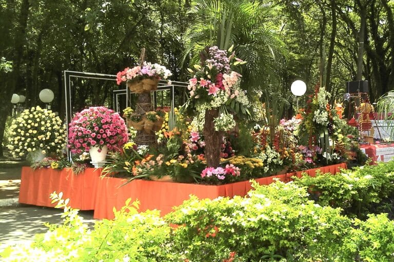 Carreta de Flores do Carnaflores de Holambra